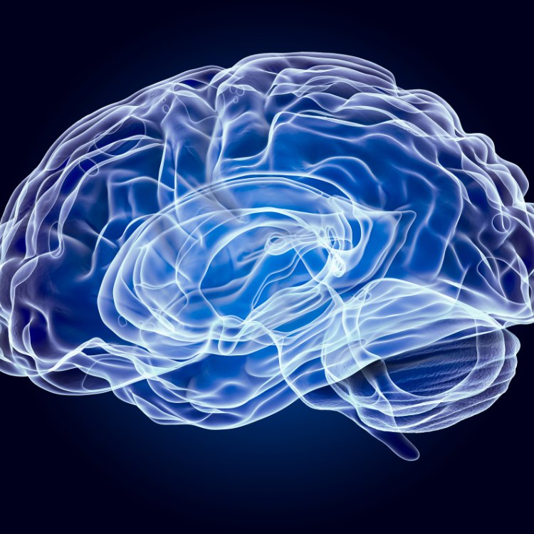 A inteligência artificial e o futuro do neuromarketing